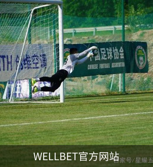 WELLBET官方网站概况